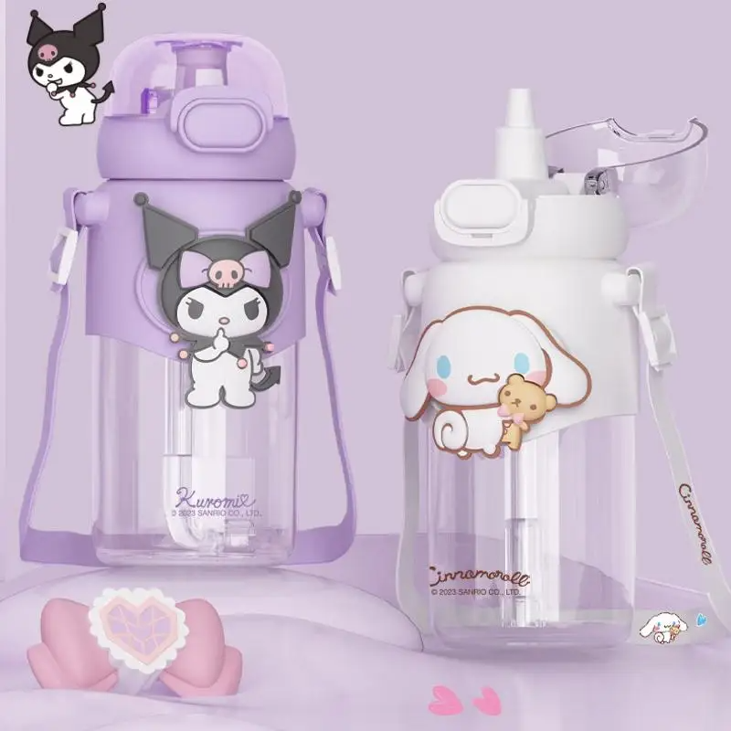 Sanrio Friends Drink Bottle 500ml